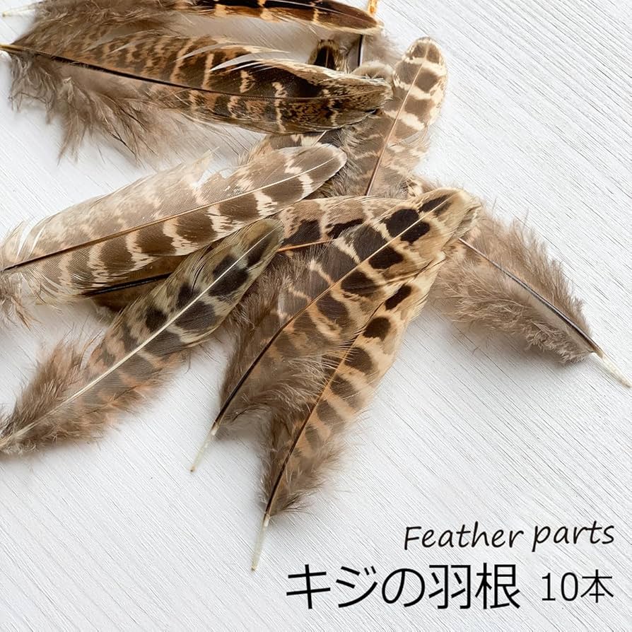 鳥の羽根　キジの翼と足 鳥の羽根 キジの翼と足